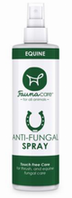Load image into Gallery viewer, Antifungal Spray
