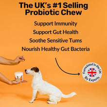 Load image into Gallery viewer, Dog Prebiotics Digestive Snacks Intestinal Health Pet Health Care Products
