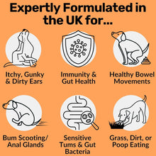 Load image into Gallery viewer, Dog Prebiotics Digestive Snacks Intestinal Health Pet Health Care Products
