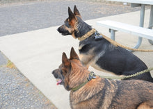 Load image into Gallery viewer, Military Dog Tactical Harness, Collar, and Leash Gear (Complete Set)
